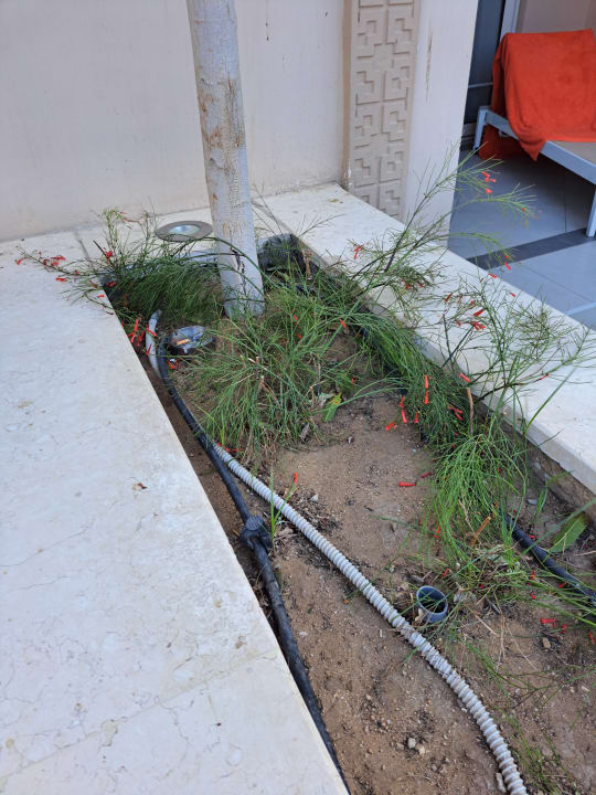 Zimmer The Grand Palace - Adults only