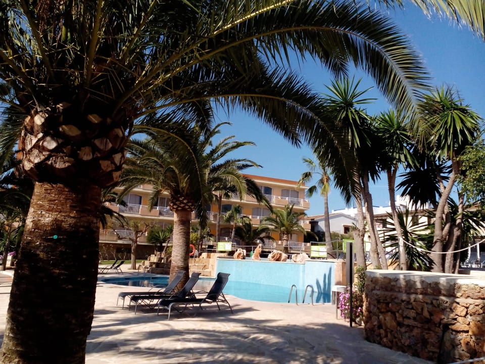 Aparthotel Club Simo in Cala Millor Club Simó Hotel by Senator