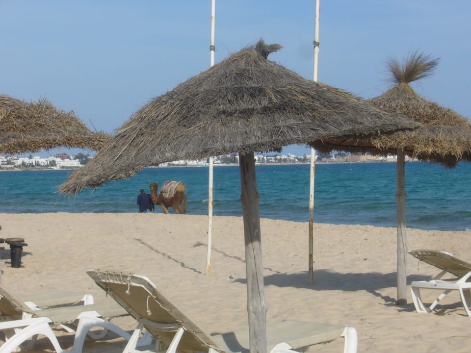 Schöner Strand, sauber Movie Gate Miramar