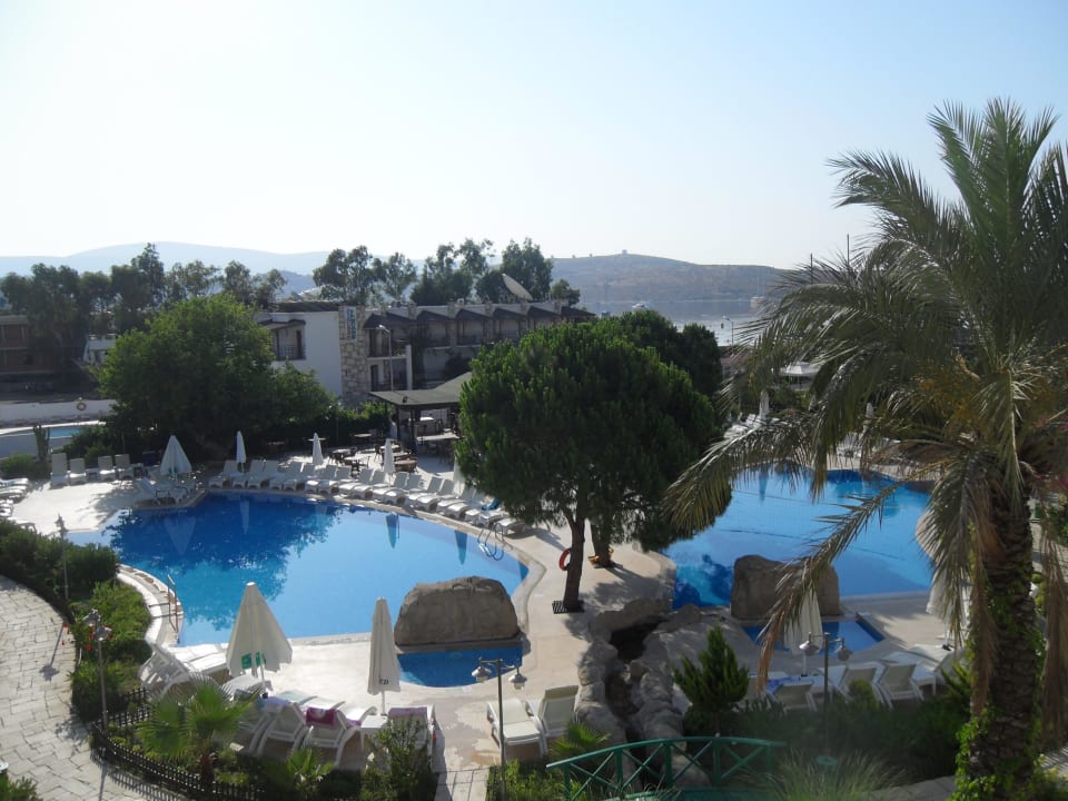 Ausblick vom Balkon Hotel Royal Palm Beach