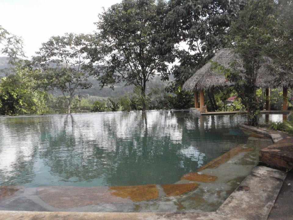 Pool Natur Rainforest Edge Guesthouse