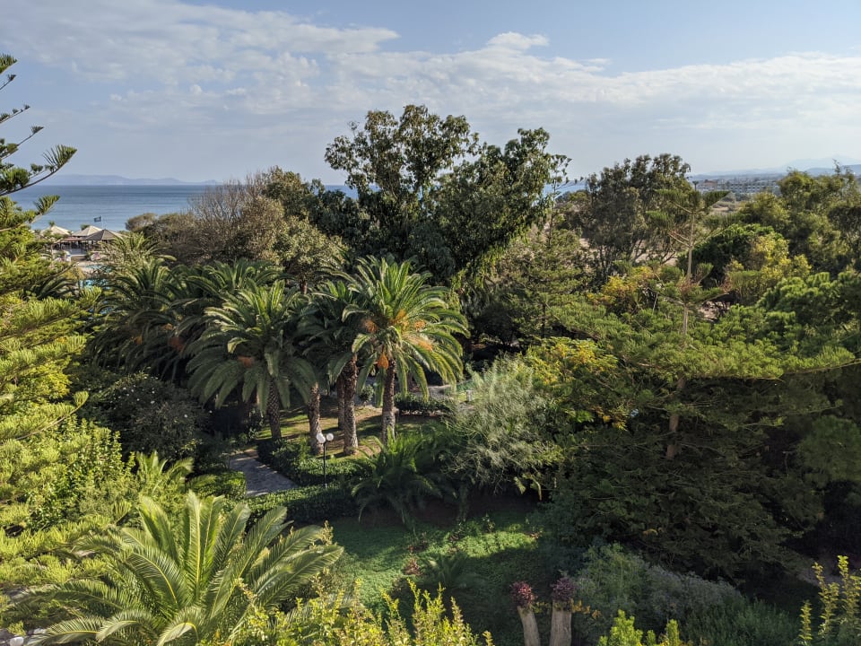 Ausblick Apollonia Beach Resort & Spa