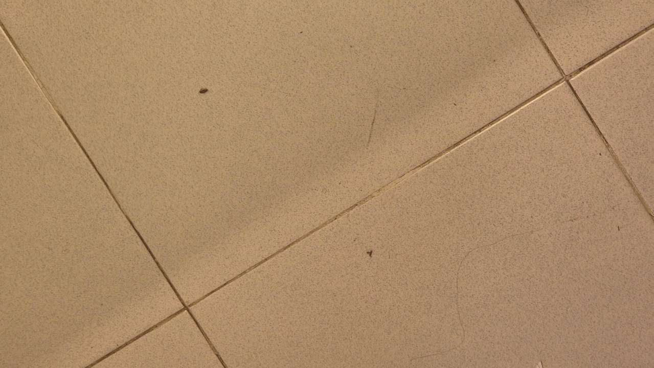 Zimmer SBH Costa Calma Beach Resort