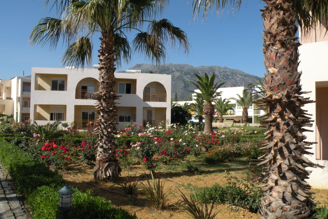 Weg zum Strand Delfina Tropic Beach