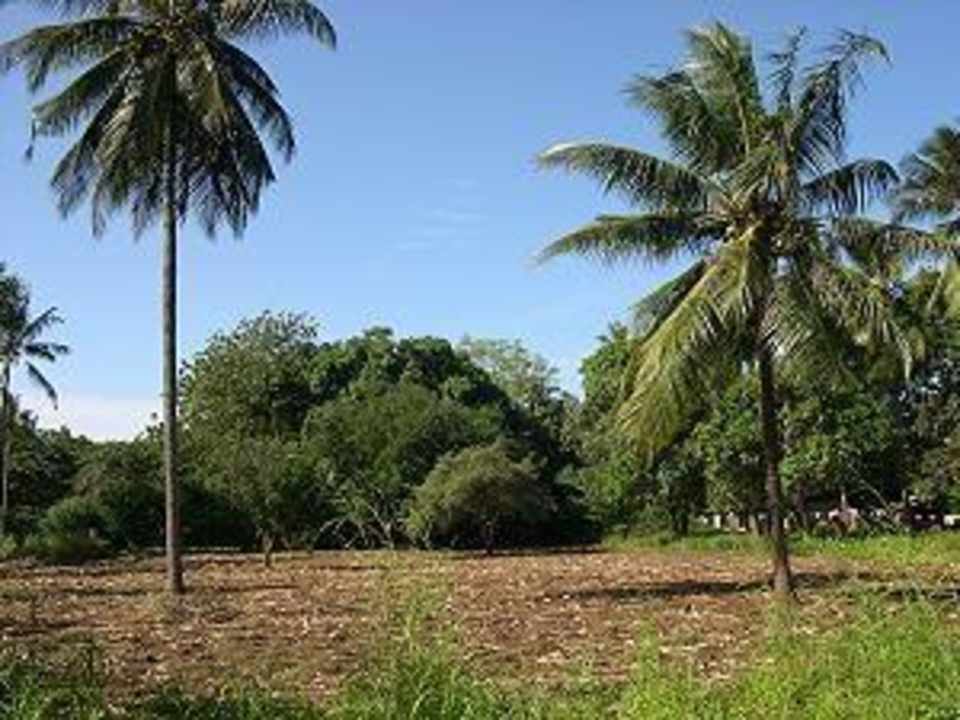 Aussenaufnahme Boko Boko Porini Farm- and Guesthouse