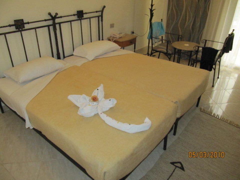 Täglich etwas neues Bella Vista Resort Hurghada