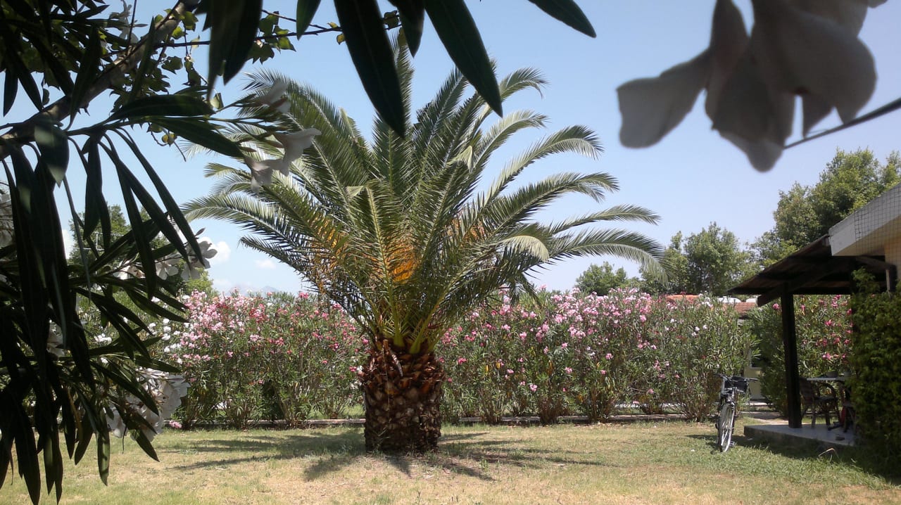 Eine schöne Aussicht  Villaggio Marlusa