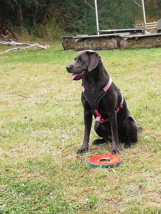 Gartenanlage Landhaus Ostseeblick
