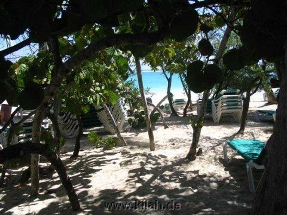 Punta Cana Palladium Blick zum Strand Grand Palladium Select Bávaro Resort & Spa