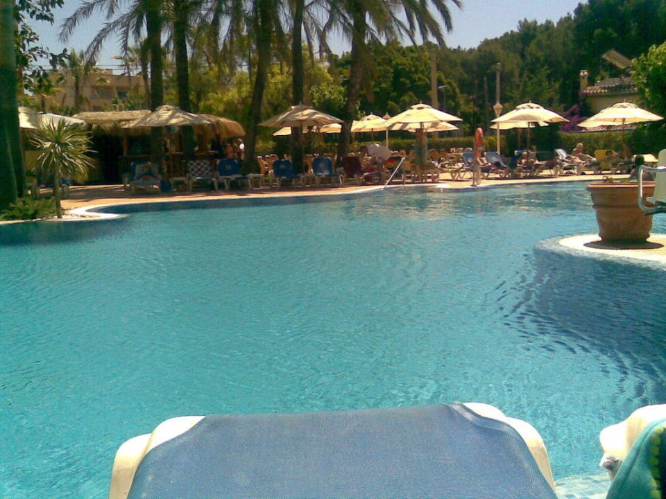 Hotelpool Valentin Reina Paguera