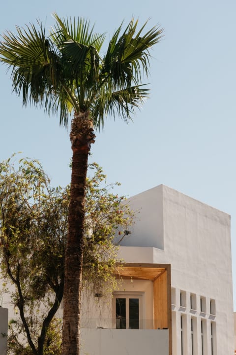 Außenansicht Petradi Beach Lounge Hotel