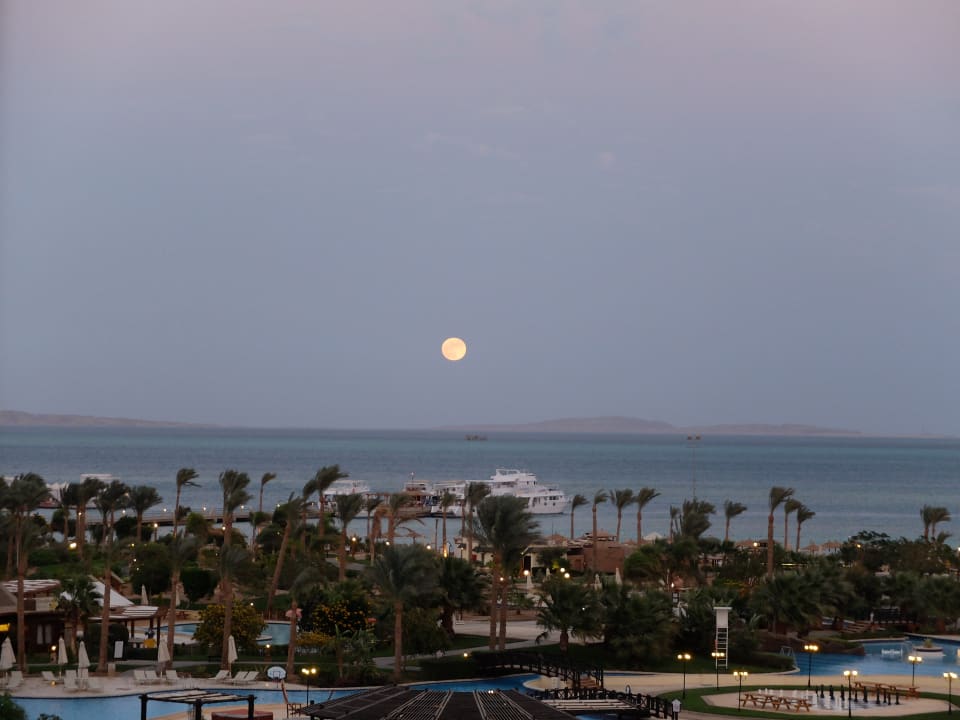 Blick vom Zimmer auf die Pool Anlage und das Meer. Steigenberger ALDAU Beach Hotel