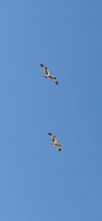 Sonstiges Radisson Blu Resort, El Quseir