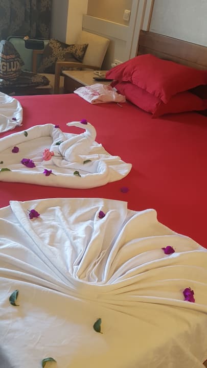 Zimmer Alba Queen Hotel