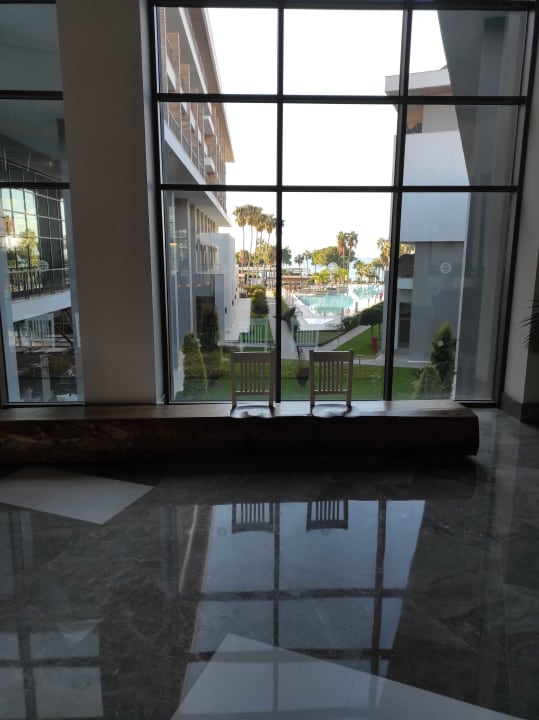 Lobby Acanthus Cennet Barut Collection
