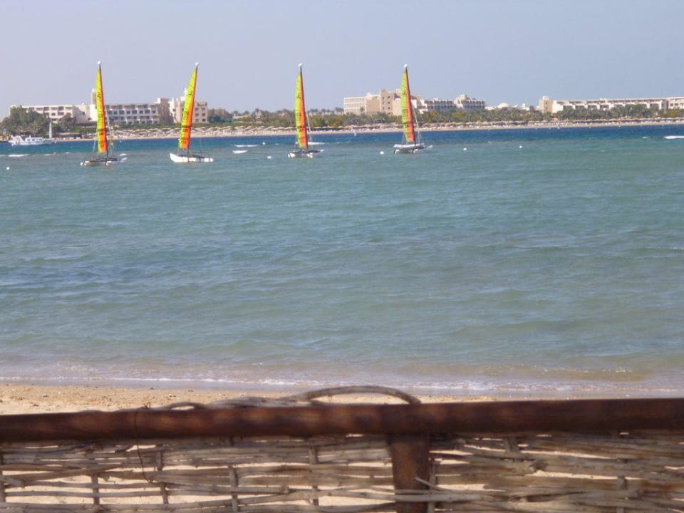 Ausblick von der Liege Cleopatra Luxury Resort Makadi Bay