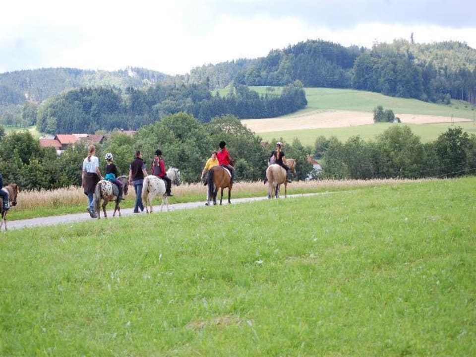 Ponyausritt Hotel Reiterhof Pichler und Nebenhäuser