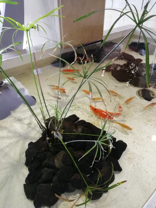 Sonstiges Be Live Tenerife - Adults only