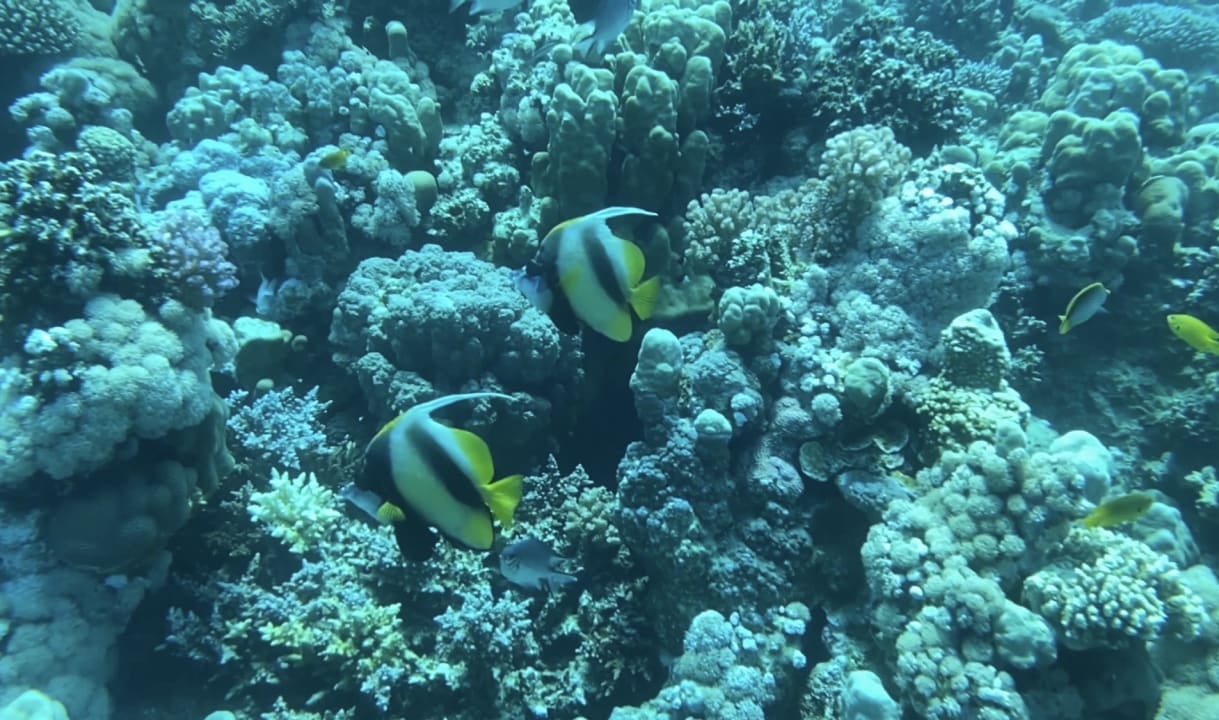 Sport & Freizeit Grand Makadi