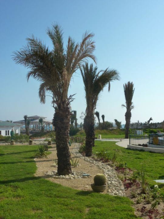 Schön angelegte Gartenanlage Iberostar Selection Royal El Mansour