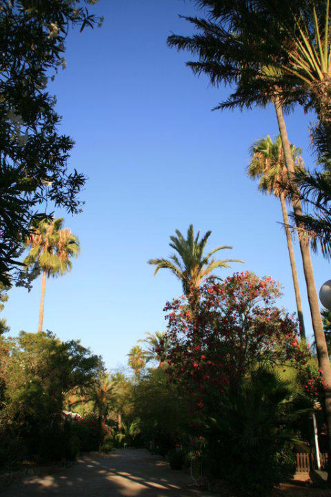 Blick von Rezeption in Anlage / Weg zum Pool Flipflop Cala Romantica