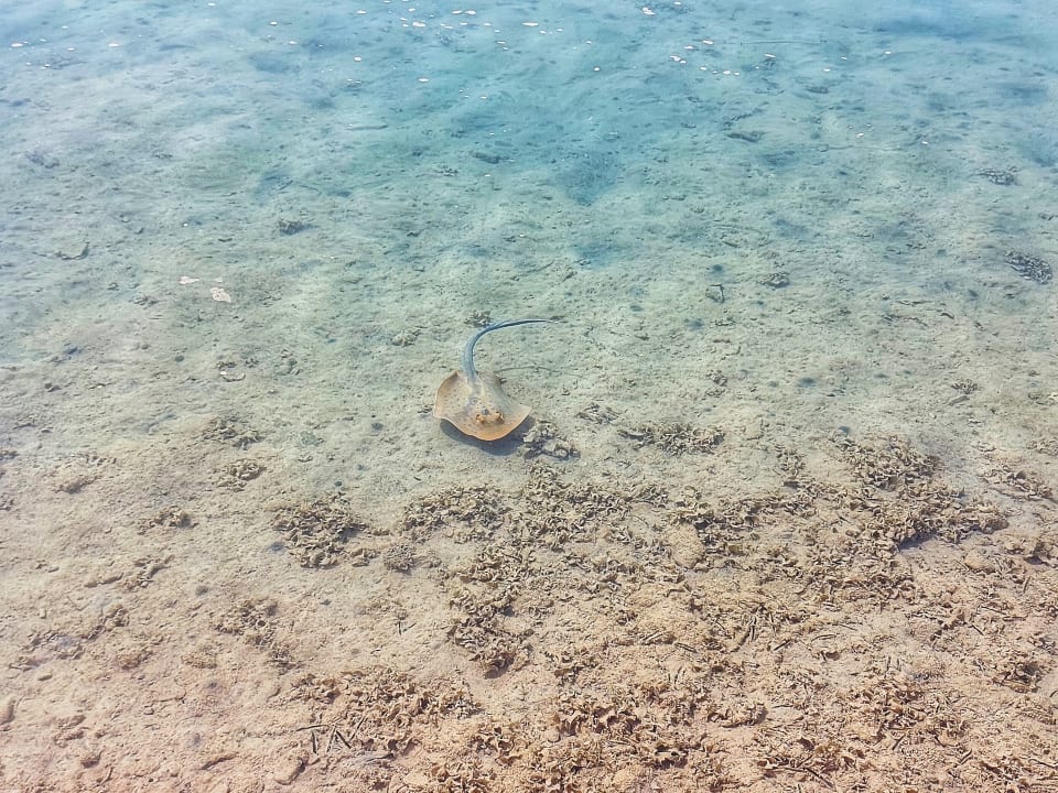 Strand Arabia Azur Resort