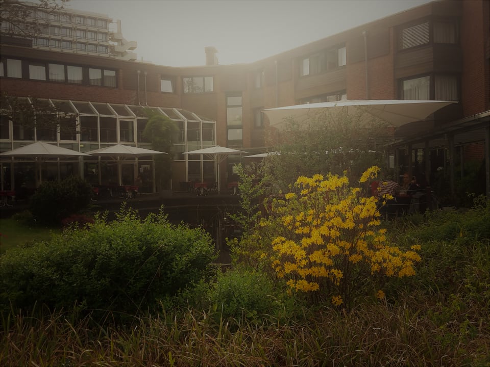 Gartenanlage GSI Hotel Bonn