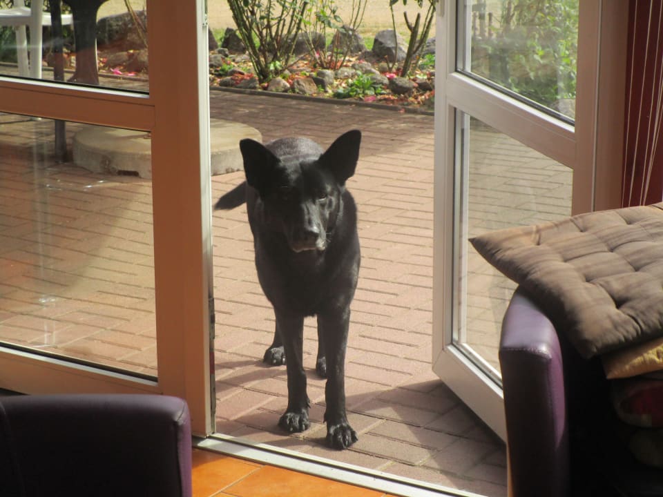 Sonstiges Center Hotel Bronkow