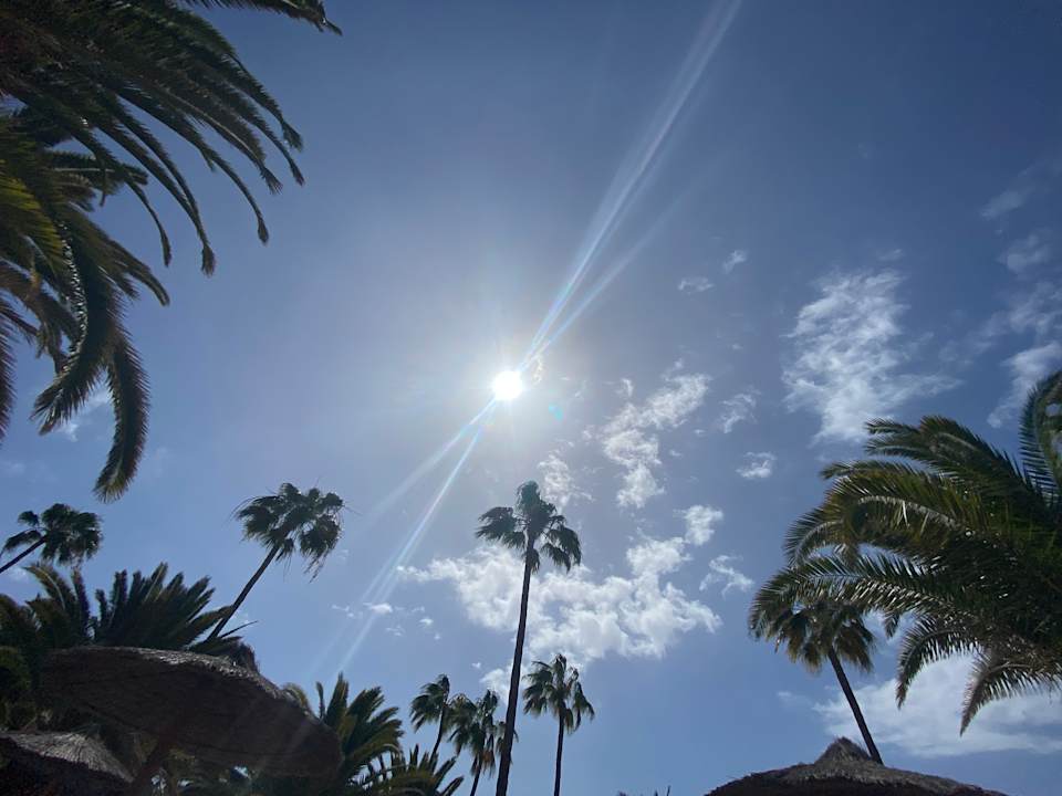 Gartenanlage Hotel Riu Palace Tenerife