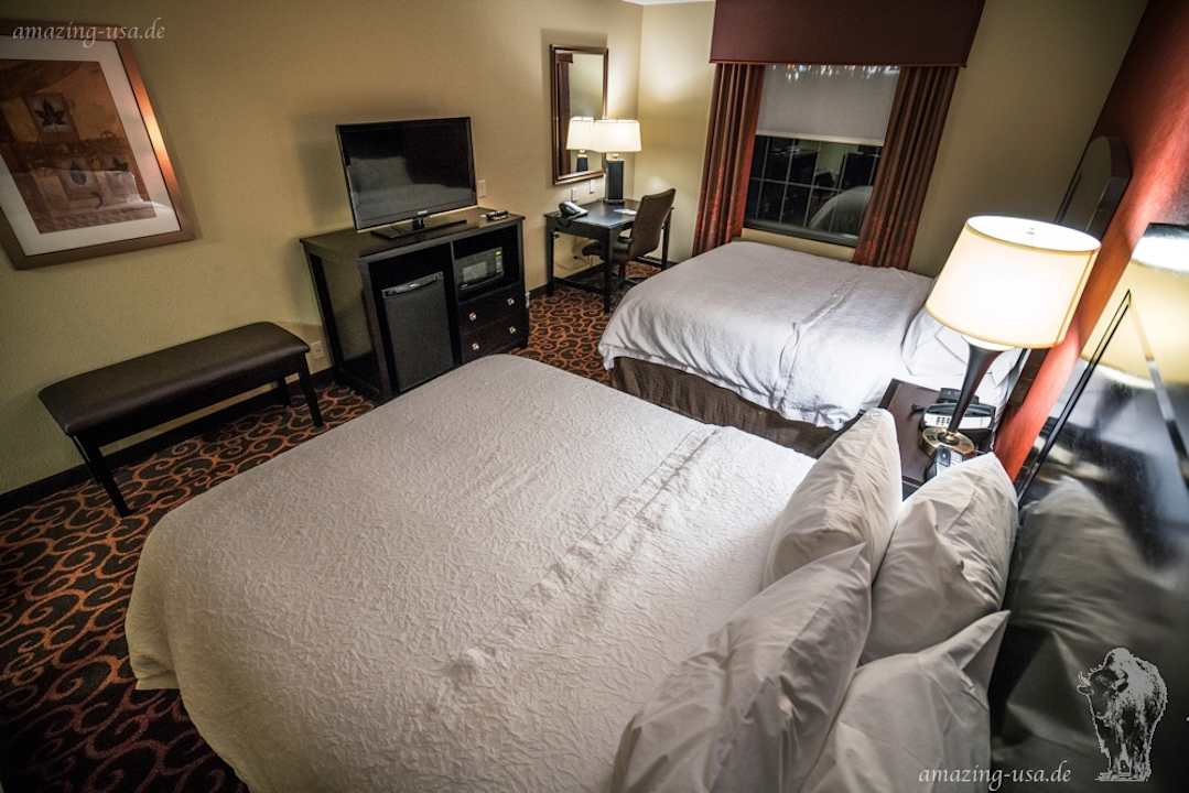 Zimmer Hampton Inn & Suites Dickinson