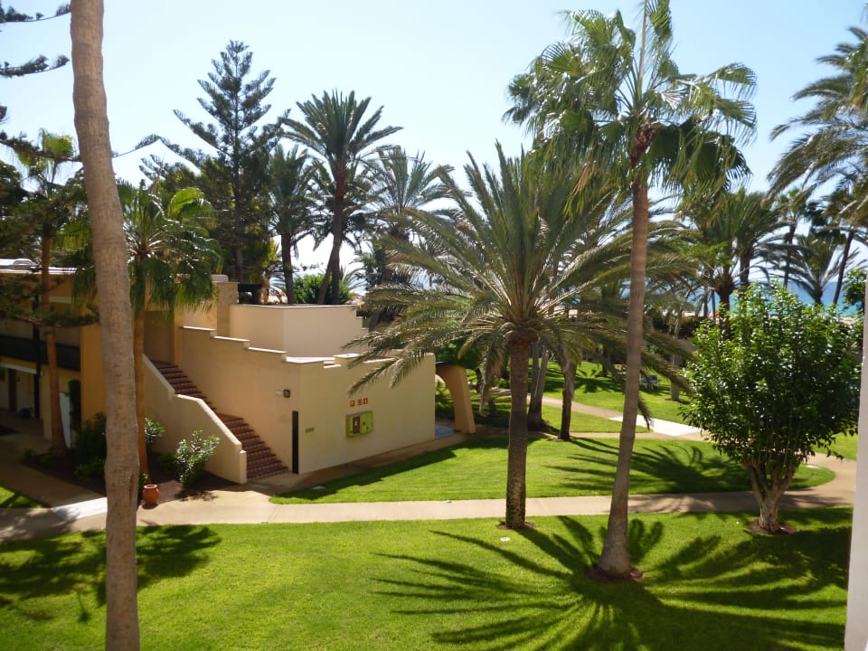 Ausblick in den Garten ROBINSON JANDIA PLAYA