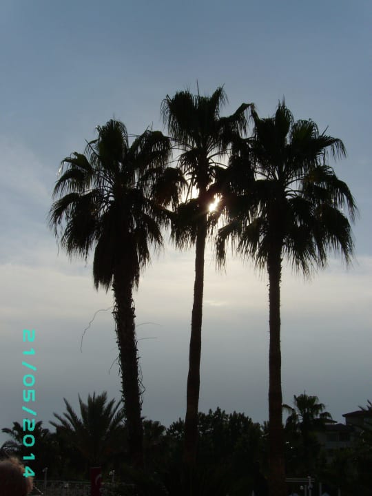 Ausblick Seaden Corolla Hotel