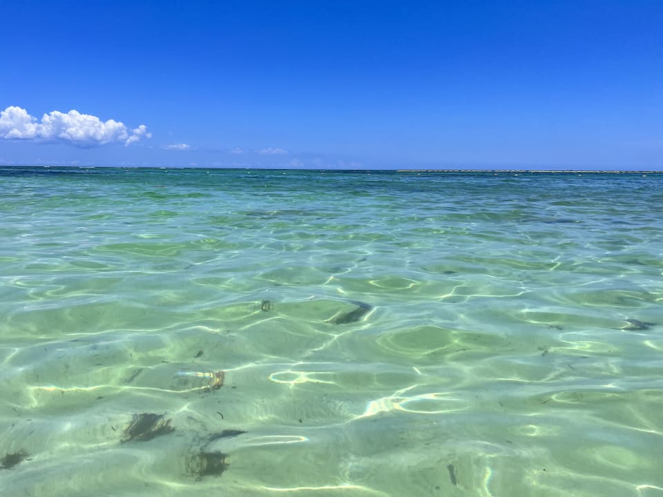 Strand Akumal Bay Beach & Wellness Resort