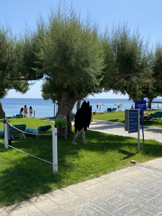 Gartenanlage TUI BLUE Oceanis Beach and Spa Resort