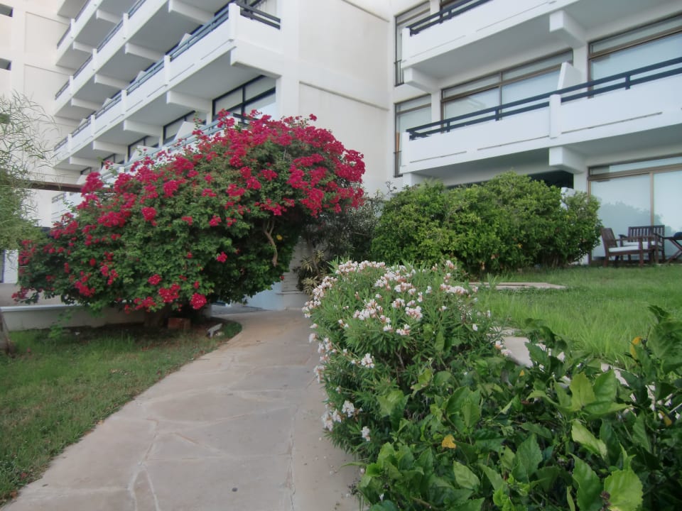 Hotel Hotel Grecian Bay