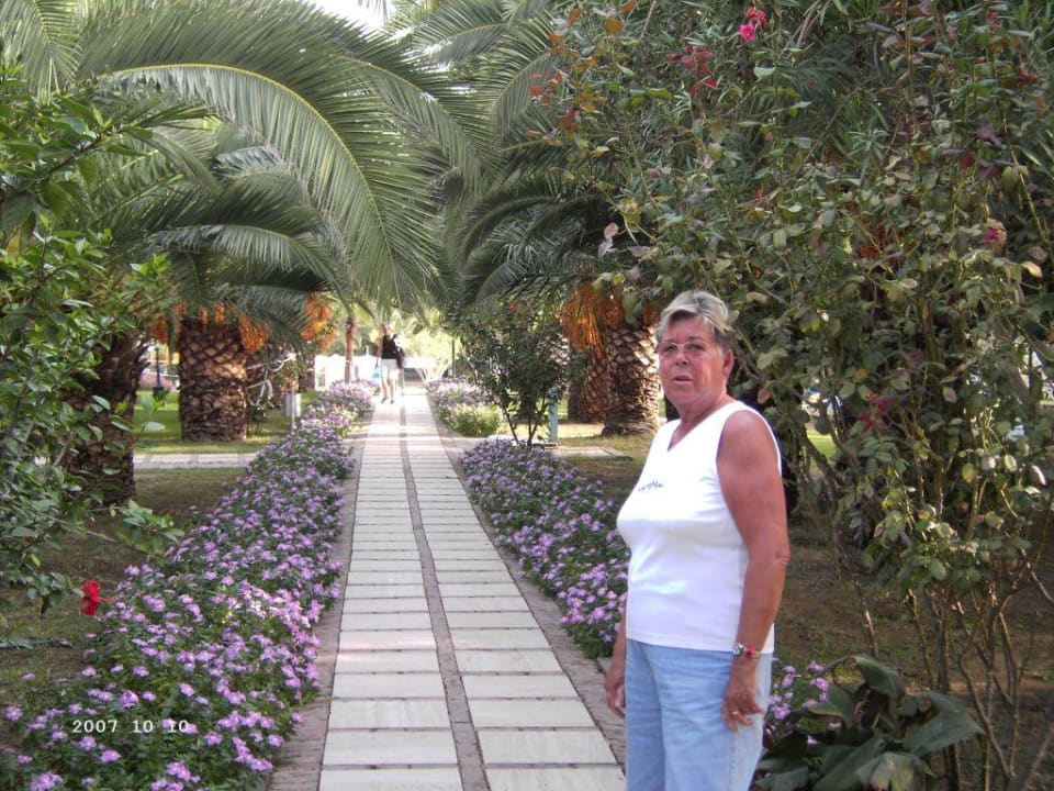 Palmenweg Süral Saray Hotel