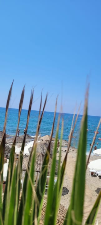 Strand Club Dizalya