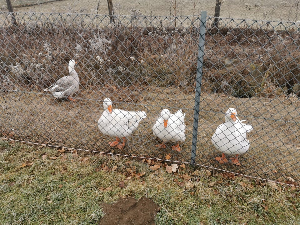 Sport & Freizeit Hotel Reiters Supreme