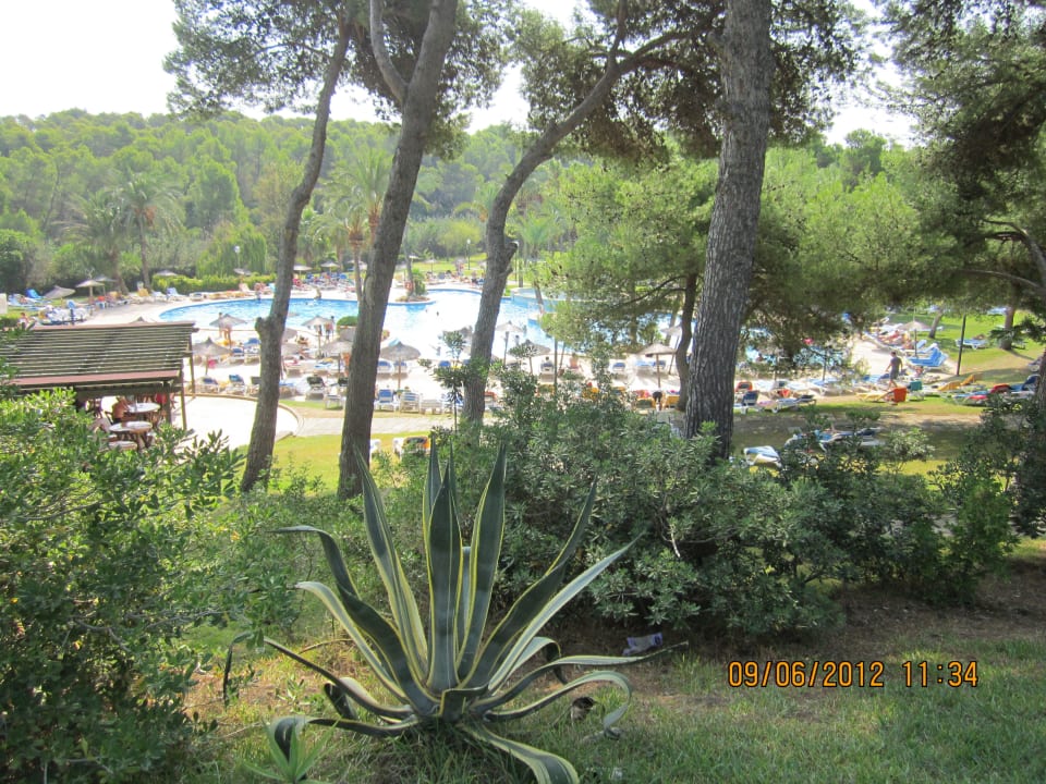 Garten ein Teil davon Hotel Exagon Park