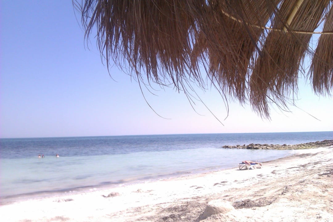 Traumhaft  Hotel El Mouradi Djerba Menzel