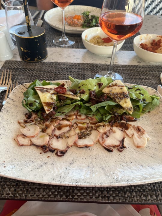 Gastro Paloma Oceana