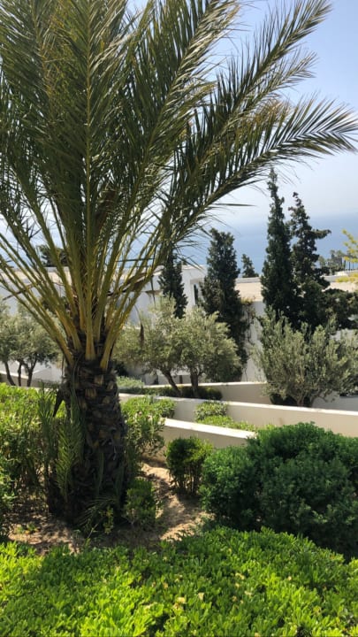 Garten ROBINSON DAIDALOS