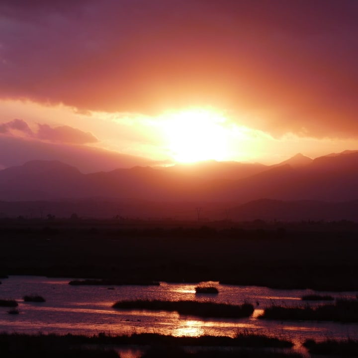 Ausblick Prinsotel La Dorada