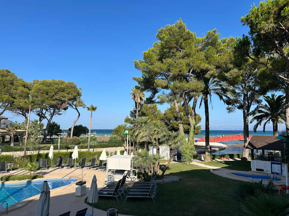 Ausblick allsun App.-Hotel Orquidea Playa