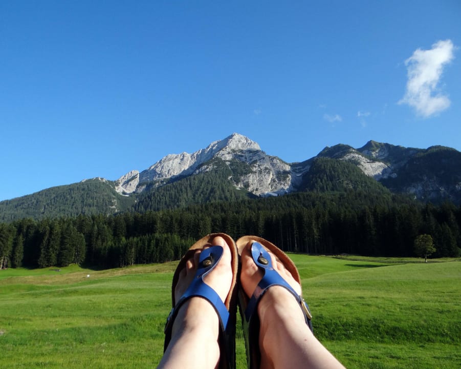 Ausblick von Balkon Bio - & Kinderbauernhof Fritzer