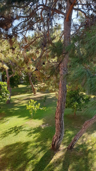 Gartenanlage Blue Waters Club