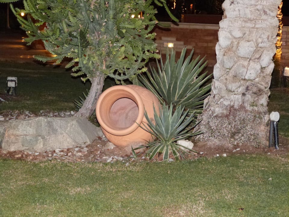 04 Jaz Makadi Oasis Resort