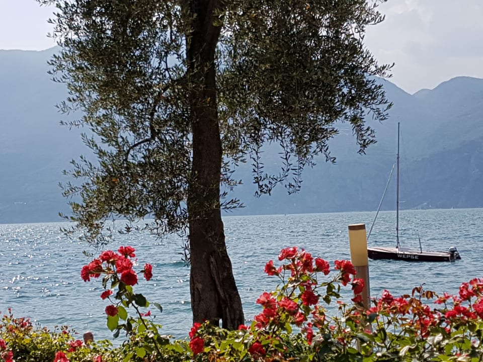 Gartenanlage Belfiore Park Hotel (Adults only +16)