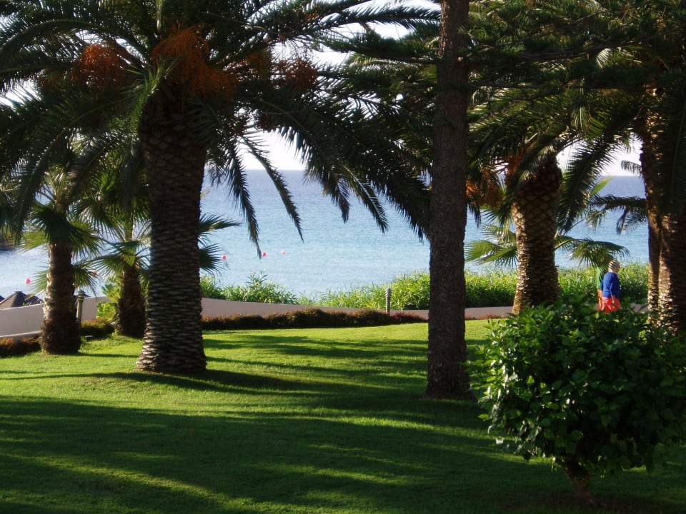 Garten Hotel Nissi Beach Resort