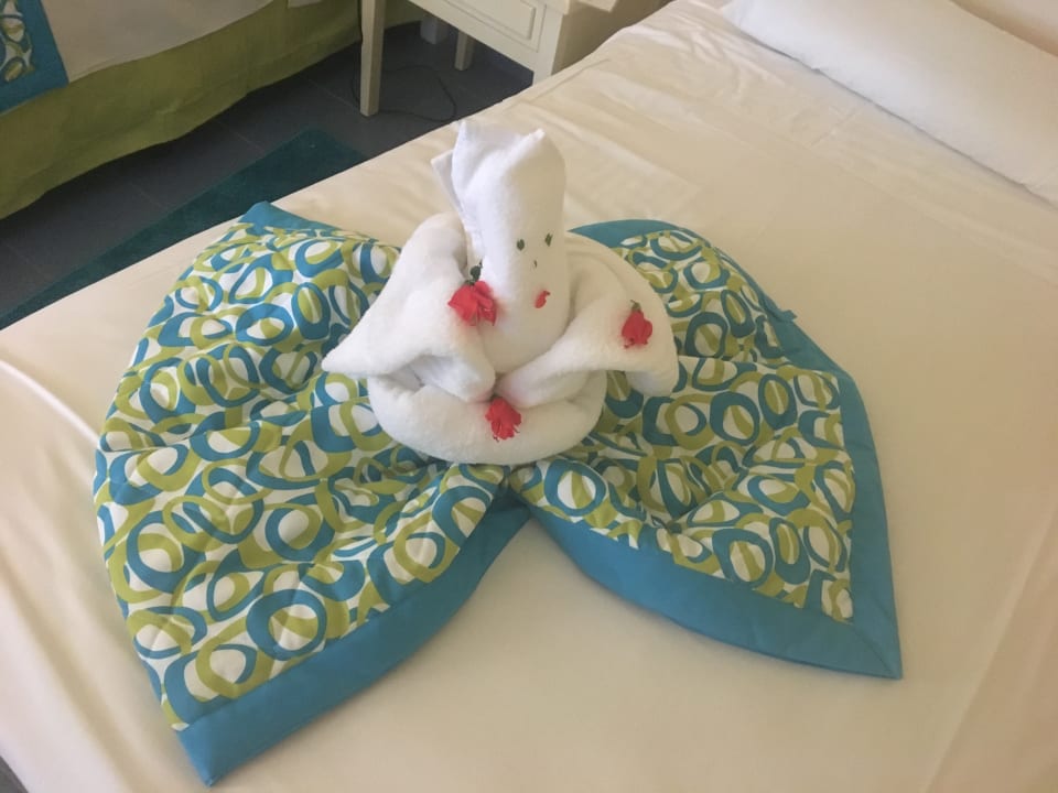 Zimmer Iberostar Origin Taínos